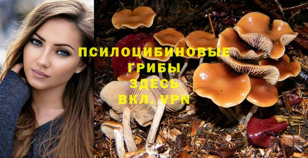 ГАЛЛЮЦИНОГЕННЫЕ ГРИБЫ Надым