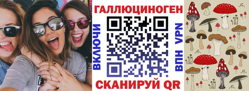 Псилоцибиновые грибы Cubensis  Сасово 
